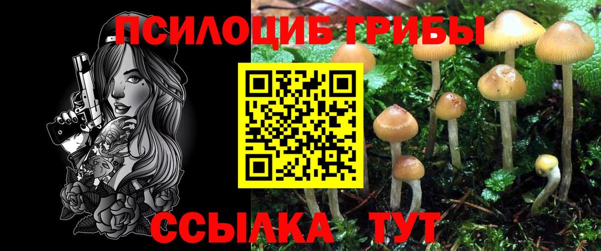 Галлюциногенные грибы GOLDEN TEACHER  Вход с VPN  Озёры 